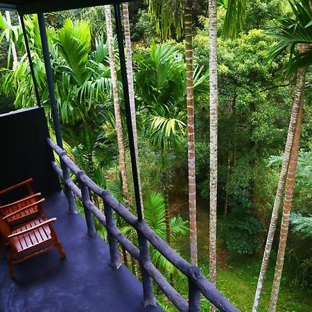 Cool Garden Belihuloya Exterior photo